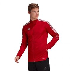 Miesten collegepaita Adidas Tiro 21 Track M GM7308 77809, punainen hinta ja tiedot | Adidas Muoti | hobbyhall.fi