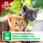 Hill's Science Plan Kitten Healthy Development Multi Pack kissanpennuille, 85 gx 12 kpl. hinta ja tiedot | Kissanruoka | hobbyhall.fi