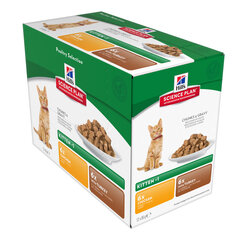 Hill's Science Plan Kitten Healthy Development Multi Pack gulassi kissanpennuille, 85 gx 12 kpl. hinta ja tiedot | Kissanruoka | hobbyhall.fi