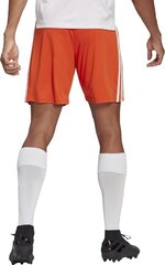 Miesten shortsit adidas Squadra 21 GN8084, oranssi, M, M hinta ja tiedot | Jalkapallovaatteet ja -varusteet | hobbyhall.fi