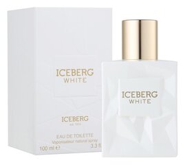 Hajuvesi Iceberg White naisille EDT 100 ml hinta ja tiedot | Naisten hajuvedet | hobbyhall.fi