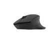 Natec Mouse Siskin 2 Wireless hinta ja tiedot | Hiiret | hobbyhall.fi