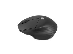 Natec Mouse Siskin 2 Wireless hinta ja tiedot | Natec Tietokoneet ja pelaaminen | hobbyhall.fi