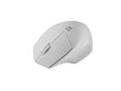 Natec Mouse Siskin 2 Wireless hinta ja tiedot | Hiiret | hobbyhall.fi