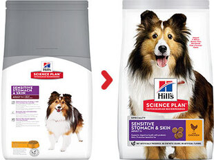 Koirien kuivaruoka Hill's Science Plan Sensitive Stomach & Skin Medium Adult kana, 14 kg hinta ja tiedot | Koiran kuivaruoka | hobbyhall.fi