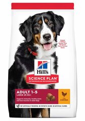 Kuivaruoka koirille Hill's Science Plan Large Breed Adult kana, 14 kg hinta ja tiedot | Koiran kuivaruoka | hobbyhall.fi