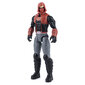 Figuuri RedHood Batman 12 DC, 30 cm hinta ja tiedot | Poikien lelut | hobbyhall.fi