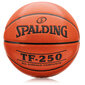 Spalding TF250 -koripallo, koko 7 hinta ja tiedot | Koripallot | hobbyhall.fi