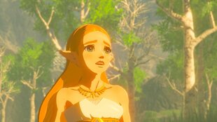 The Legend of Zelda: Breath of the Wild NSW hinta ja tiedot | Nintendo Puhelimet, älylaitteet ja kamerat | hobbyhall.fi