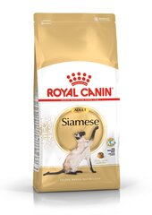Royal Canin Siamese, 2 kg hinta ja tiedot | Kissan kuivaruoka | hobbyhall.fi
