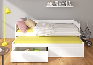 Lastensänky Adrk Furniture Tiarro 80x180 cm, tummanruskea/valkoinen hinta ja tiedot | Lastensängyt | hobbyhall.fi