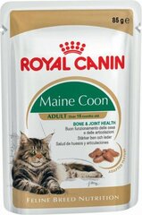 Royal Canin Maine Coon-rodun kissoille, 12x85 g hinta ja tiedot | Kissanruoka | hobbyhall.fi