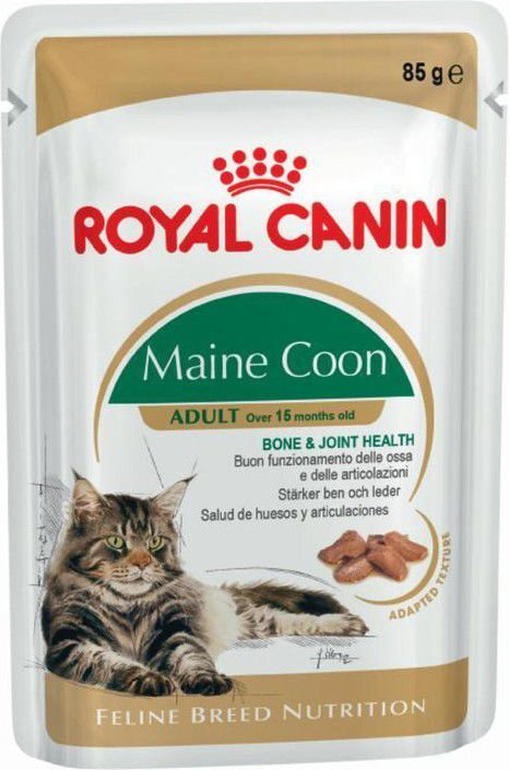 Royal Canin Maine Coon-rodun kissoille, 12x85 g hinta 