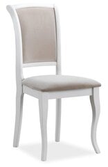 2 tuolin setti MN-SC, valkoinen/beige hinta ja tiedot | Ruokapöydän tuolit | hobbyhall.fi