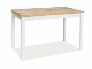 Adam DZCB pöytä, 60 cm x 100 cm tamminen/valkoinen väri hinta ja tiedot | Ruokapöydät | hobbyhall.fi