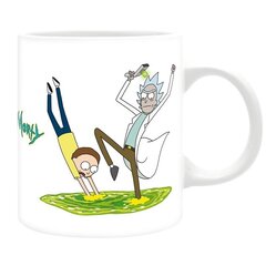 ABYstyle Rick And Morty Portal 2 hinta ja tiedot | Pelien oheistuotteet | hobbyhall.fi