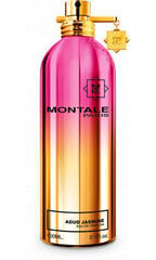 Eau de Parfum Aoud Jasmine EDP naisille, 100 ml hinta ja tiedot | Montale Hajuvedet ja kosmetiikka | hobbyhall.fi