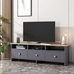 TV-taso Kalune Design 382, 150 cm, harmaa hinta ja tiedot | TV-tasot | hobbyhall.fi