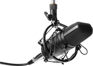 Mikrofoni Yenkee 45014162 hinta ja tiedot | Mikrofonit | hobbyhall.fi