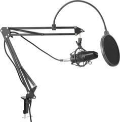 Mikrofoni Yenkee 45014162 hinta ja tiedot | Mikrofonit | hobbyhall.fi
