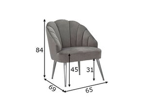 Ruokapöydän tuoli Glam, harmaa hinta ja tiedot | Ruokapöydän tuolit | hobbyhall.fi