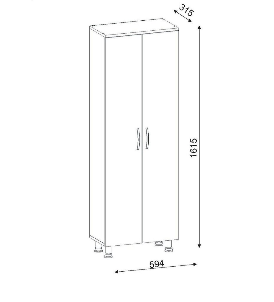 Kylpyhuonekaappi Kalune Design 731, 59,4 x 161,5 x 31,5 cm, valkoinen hinta ja tiedot | Kylpyhuonekaapit | hobbyhall.fi