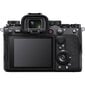 Sony Alpha 1 -runko (ILCE-1/B) hinta ja tiedot | Kamerat | hobbyhall.fi