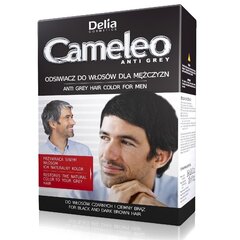 Hiusvärin palauttaja miehille Delia Cosmetics Cameleo Anti Grey hinta ja tiedot | Hiusvärit | hobbyhall.fi