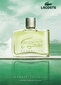 Lacoste Essential EDT miehille 125 ml hinta ja tiedot | Miesten hajuvedet | hobbyhall.fi