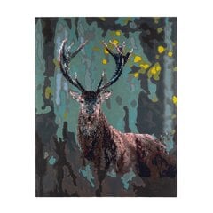 Numeromaalaus, peura, 40x50cm hinta ja tiedot | Craft ID Lapset | hobbyhall.fi