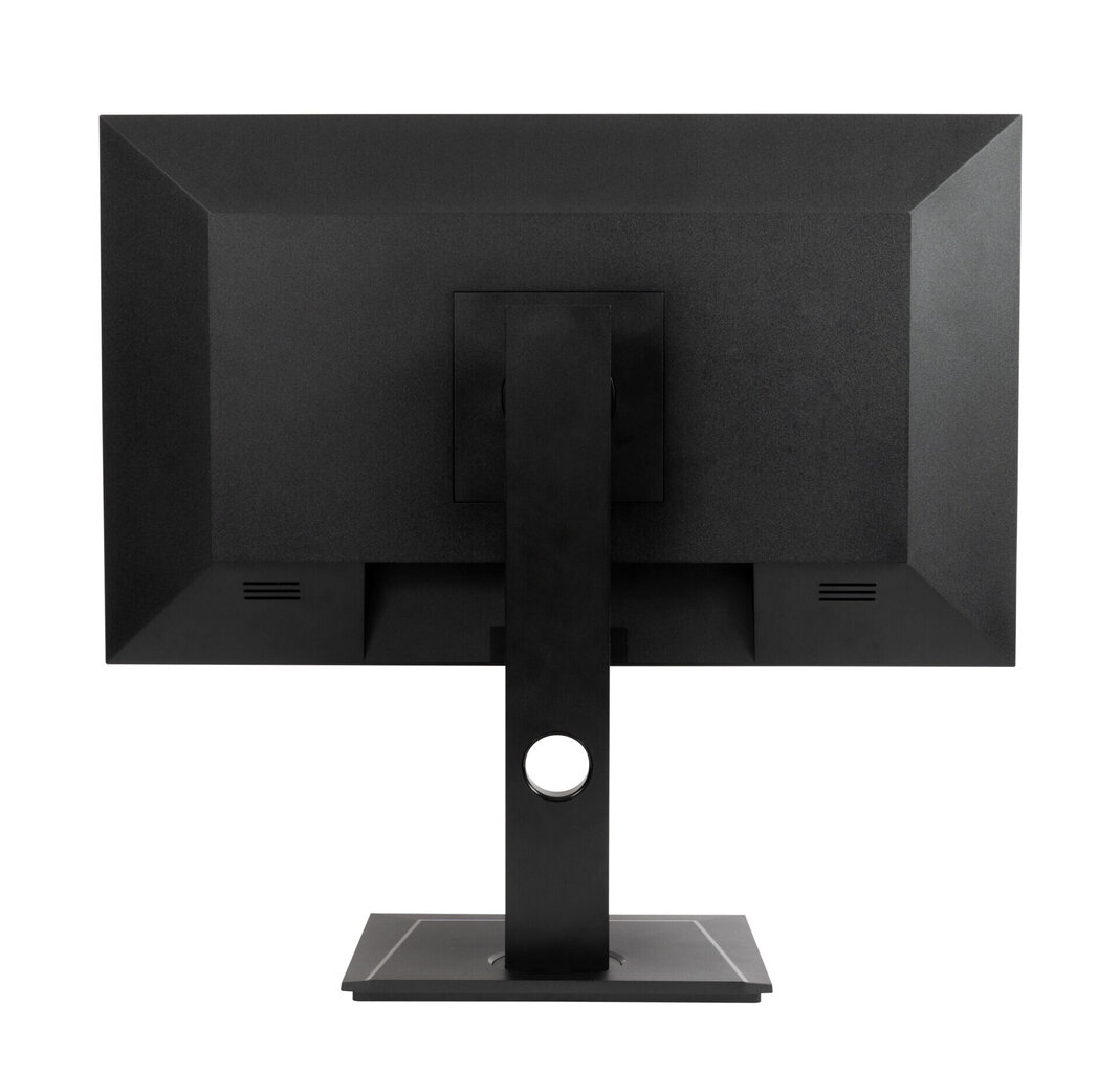 AG Neovo 23.8" Wide QHD Monitor DW2401 hinta ja tiedot | Näytöt | hobbyhall.fi