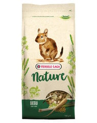 Versele Laga -täysravinto deguille Degu Nature, 0,7 kg hinta ja tiedot | Pieneläinten ruoat | hobbyhall.fi