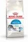 Kuivaruoka kotikissoille Royal Canin Indoor 27, 0,4 kg hinta ja tiedot | Kissan kuivaruoka | hobbyhall.fi