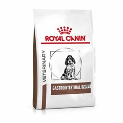 Kuivaruoka koirille Royal Canin ruuansulatuksen parantamiseen Dog Gastro Intestinal Junior, 2,5 kg hinta ja tiedot | Koiran kuivaruoka | hobbyhall.fi