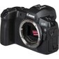 Canon EOS R. hinta ja tiedot | Kamerat | hobbyhall.fi