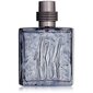 Nino Cerruti Cerruti 1881 Black EDT miehelle 100 ml hinta ja tiedot | Miesten hajuvedet | hobbyhall.fi