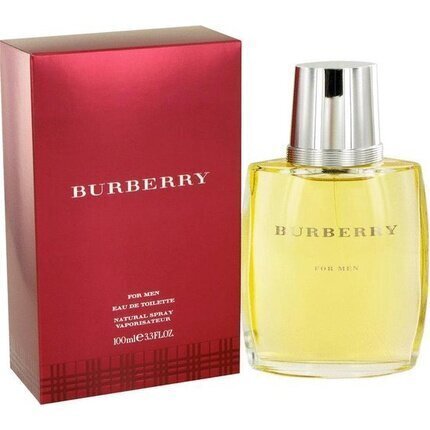 Burberry Men EDT miehelle 100 ml hinta ja tiedot | Miesten hajuvedet | hobbyhall.fi