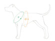 Säädettävät koiranvaljaat EASY GO Samba, XL, musta hinta ja tiedot | Koiran valjaat ja kaulapannat | hobbyhall.fi