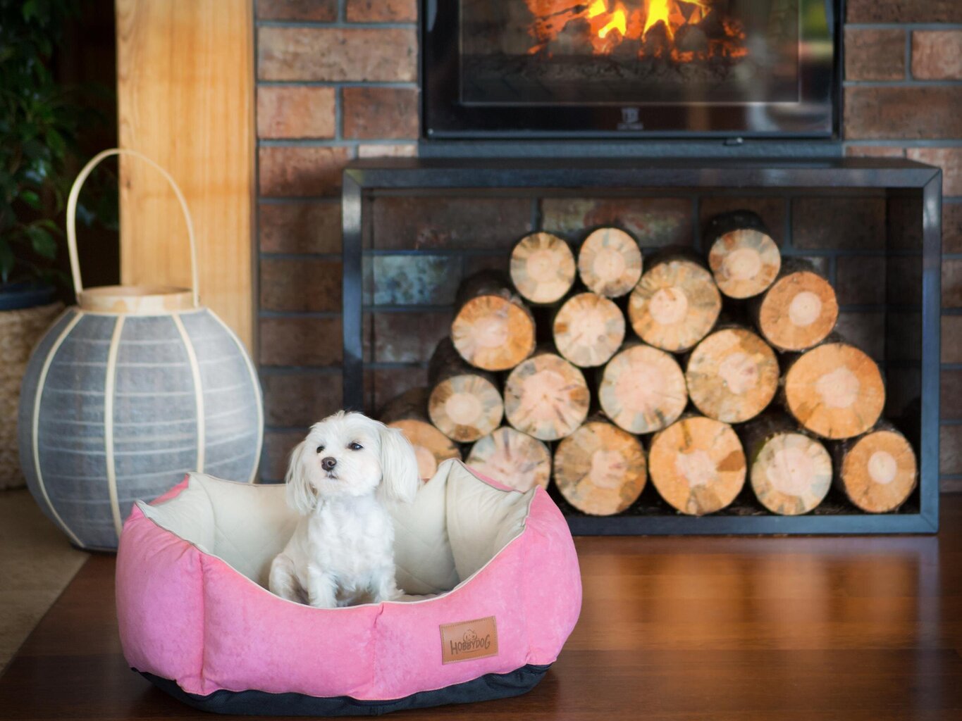 Koiranpeti Hobbydog New York Premium, L, punainen, 60x52 cm hinta ja tiedot | Pedit ja pesät | hobbyhall.fi