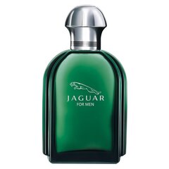 Jaguar Jaguar EDT miehelle 100 ml hinta ja tiedot | Jaguar Hajuvedet ja kosmetiikka | hobbyhall.fi