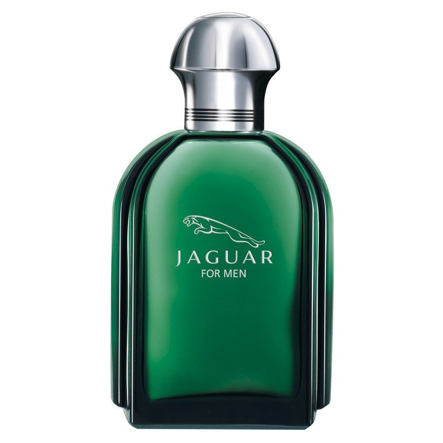 Jaguar Jaguar EDT miehelle 100 ml hinta ja tiedot | Miesten hajuvedet | hobbyhall.fi