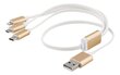 Epzi USB-MULTI05, USB C, Lightning, Micro USB, 0,5 m hinta ja tiedot | Puhelinkaapelit | hobbyhall.fi