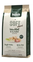 Koiranruoka Bosch Pet Food Plus SOFT MINI Viiriäinen & Peruna 1kg hinta ja tiedot | Bosch Petfood  Plus Koirat | hobbyhall.fi