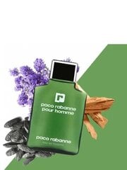 Paco Rabanne Paco Rabanne Pour Homme EDT miehelle 100 ml hinta ja tiedot | Miesten hajuvedet | hobbyhall.fi