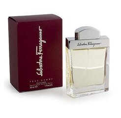 Salvatore Ferragamo Pour Homme EDT miehelle 100 ml hinta ja tiedot | Miesten hajuvedet | hobbyhall.fi