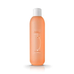 Silcare The Garden of Color Melon Orange puhdistusaine 1000 ml hinta ja tiedot | Kynsilakat ja kynsienhoitotuotteet | hobbyhall.fi