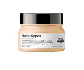 L'Oreal Professionnel Absolut Repair Gold korjaava hiusnaamio 250 ml hinta ja tiedot | Naamiot, öljyt ja seerumit | hobbyhall.fi