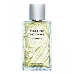 Rochas Eau De Rochas EDT hajuvesi miehille 100 ml hinta ja tiedot | Rochas Hajuvedet ja kosmetiikka | hobbyhall.fi