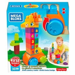 Mega Bloks® kirahvipalikat, 30 kpl, GFG19 hinta ja tiedot | Vauvan lelut | hobbyhall.fi