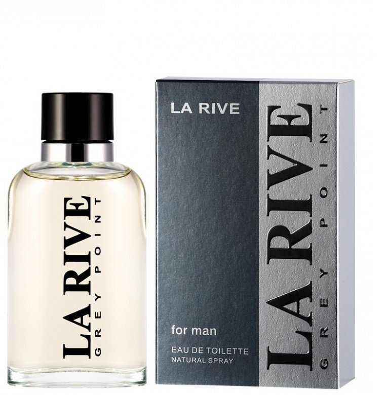 La Rive Grey Point For Man EDT mihelle 90 ml hinta ja tiedot | Miesten hajuvedet | hobbyhall.fi